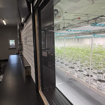 Green Matter Cannabis - Cannabis Dispensaries Near Me - Santa Fe, New Mexico