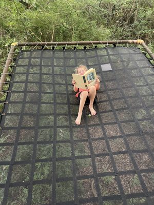 Savannah's Meadow by null