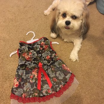 Pet Food Express - Cute dress I got for $12.99 retail is $18.99 -but they honored the price marked on the shelf. - Pet Stores Near Me - Long Beach, California Pet Food Express - Cute dress I got for $12.99 retail is $18.99 -but they honored the price marked on the shelf. - Pet Stores Near Me - Long Beach, California