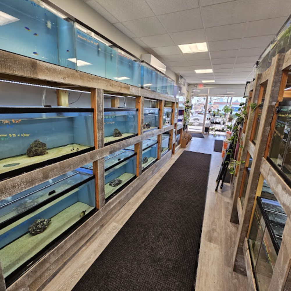 THE BEST 10 PET STORES in EDISON NJ Updated 2025 Hours Yelp