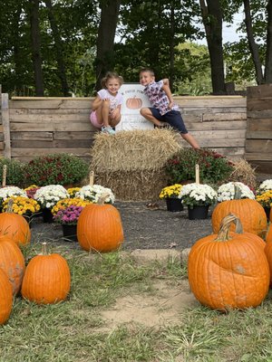 Testo Family Farm by null