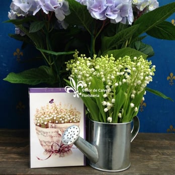 Flor de Calvet - Florists Near Me - Barcelona, B