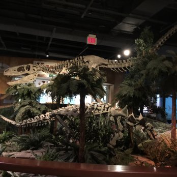 McWane Science Center - Museums Near Me - Birmingham, Alabama McWane Science Center - Museums Near Me - Birmingham, Alabama