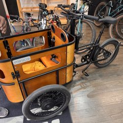 CityZen’Bike - Pet carrier