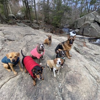 Bark and Burn - Dog Walkers Near Me - New York, New York Bark and Burn - Dog Walkers Near Me - New York, New York