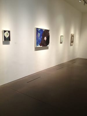 Georgia O'Keeffe Museum by null