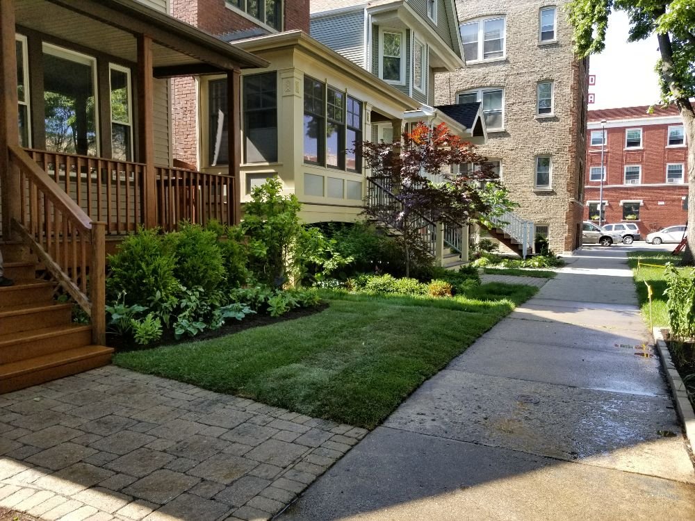 MT Lawncare Services - tree service in Chicago, IL