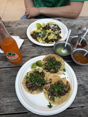 El Santo Gallo by null