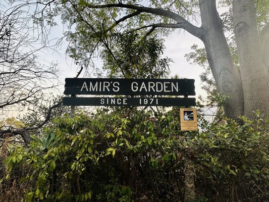 Amir's Garden by null