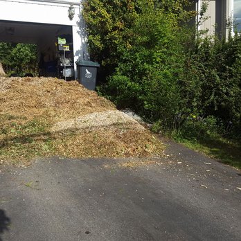 1 2 Tree Care - we deliver FREE wood chips! - Tree Services Near Me - North Vancouver, British Columbia
