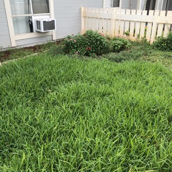 Aloha 'Aina Landscaping - Before - Landscaping Near Me - Waimanalo, Hawaii