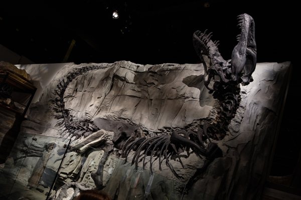 Royal Tyrrell Museum by null