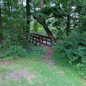 WHITE TAIL NUDIST RESORT - 15 Reviews - 39033 Whitetail Dr, Ivor