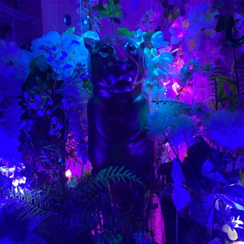 Meow Wolf - Venues & Event Spaces Near Me - Denver, Colorado