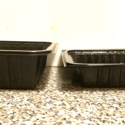 Lucky Panda Restaurant - The right side container is their full-size container. Notice that they are half the size as other restaurants.