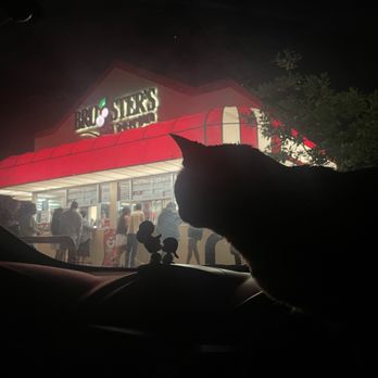 Bruster's Real Ice Cream - a cat sitting in a car - Ice Cream & Frozen Yogurt Near Me - Knoxville, Tennessee Bruster's Real Ice Cream - a cat sitting in a car - Ice Cream & Frozen Yogurt Near Me - Knoxville, Tennessee