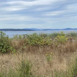 Island View Beach Regional Campground - Mt Baker in the distance