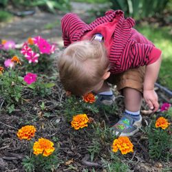 Living Christ Early Learning Center - Stopping to smell the flowers!