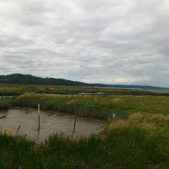 Theler Wetlands - Wetland - Hiking Near Me - Belfair, Washington Theler Wetlands - Wetland - Hiking Near Me - Belfair, Washington