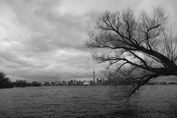 Toronto Island Park Olympic Island by null