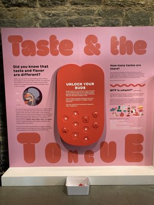 Museum of Food and Drink (MOFAD) by null