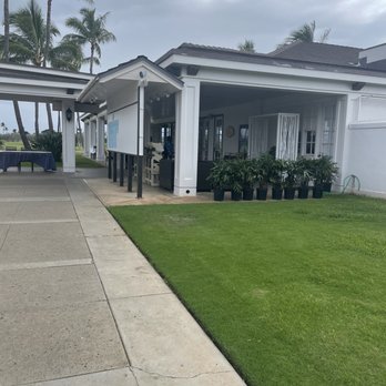 Bird of Paradise - American Near Me - Ewa Beach, Hawaii