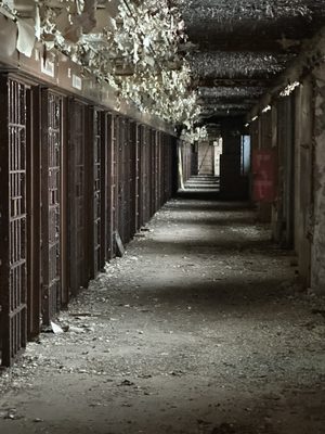 Old Joliet Prison by null