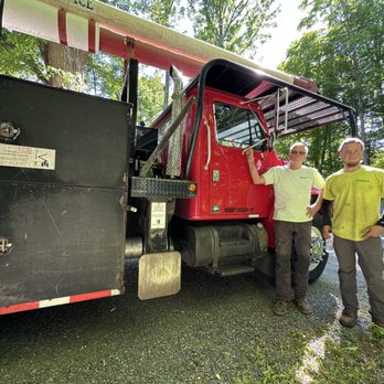 Blue Collar Tree Service - Tree Services Near Me - Southbury, Connecticut Blue Collar Tree Service - Tree Services Near Me - Southbury, Connecticut