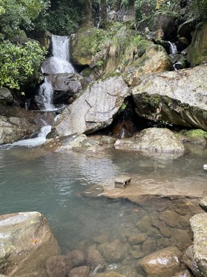 Yangmingshan National Park by null