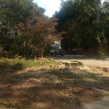 Top Em' And Drop Em' Tree Service - Tree Services Near Me - Gray Court, South Carolina