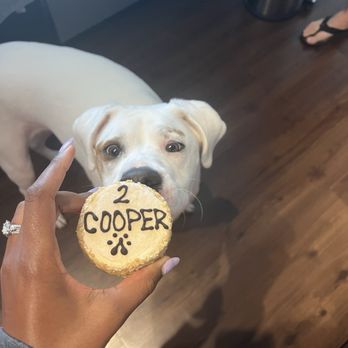 Three Dog Bakery - Pet Stores Near Me - Cincinnati, Ohio