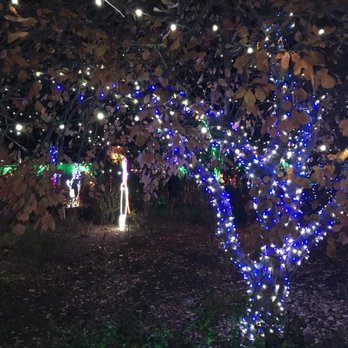 River Of Lights - Festivals Near Me - Albuquerque, New Mexico
