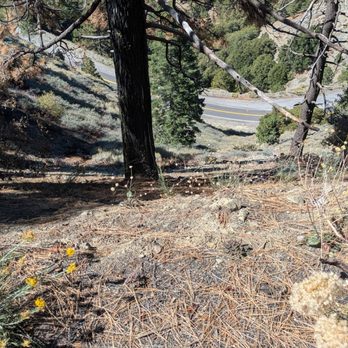Grassy Hollow Visitor Center - Pretty high up - Visitor Centers Near Me - Arcadia, California
