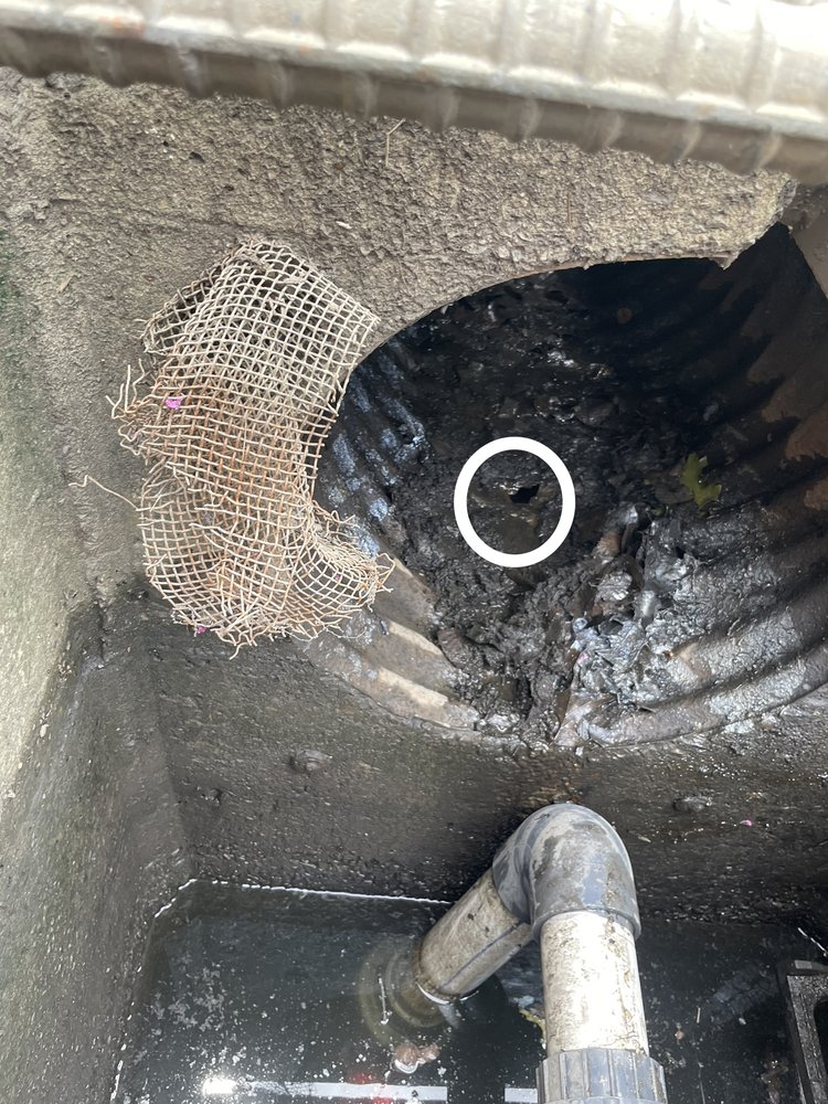 Slide of Dawson's Mechanical