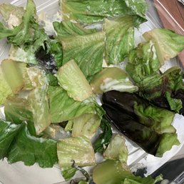 Yellow and rotting lettuce