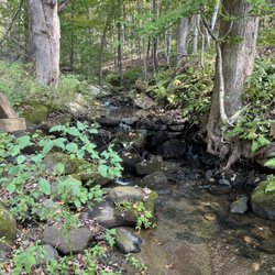The Wilmington Inn - The creek running between the inn and their chickens