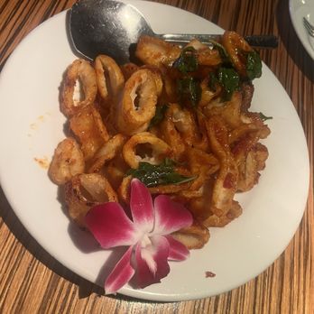 Thai Spice - Crispy Calamari Basil - Thai Near Me - Fort Lauderdale, Florida Thai Spice - Crispy Calamari Basil - Thai Near Me - Fort Lauderdale, Florida