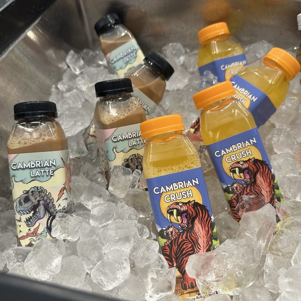 Cambrian Coffee - Custom beverages togo - Coffee & Tea Near Me - Houston, Texas Cambrian Coffee - Custom beverages togo - Coffee & Tea Near Me - Houston, Texas
