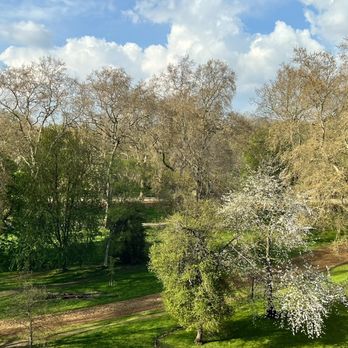 Mandarin Oriental - View of Hyde Park from the room.  Blue sky - a rare sighting in London. - Hotels Near Me - London, XGL