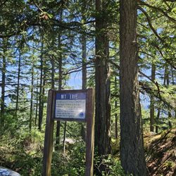 Mt Erie Park
