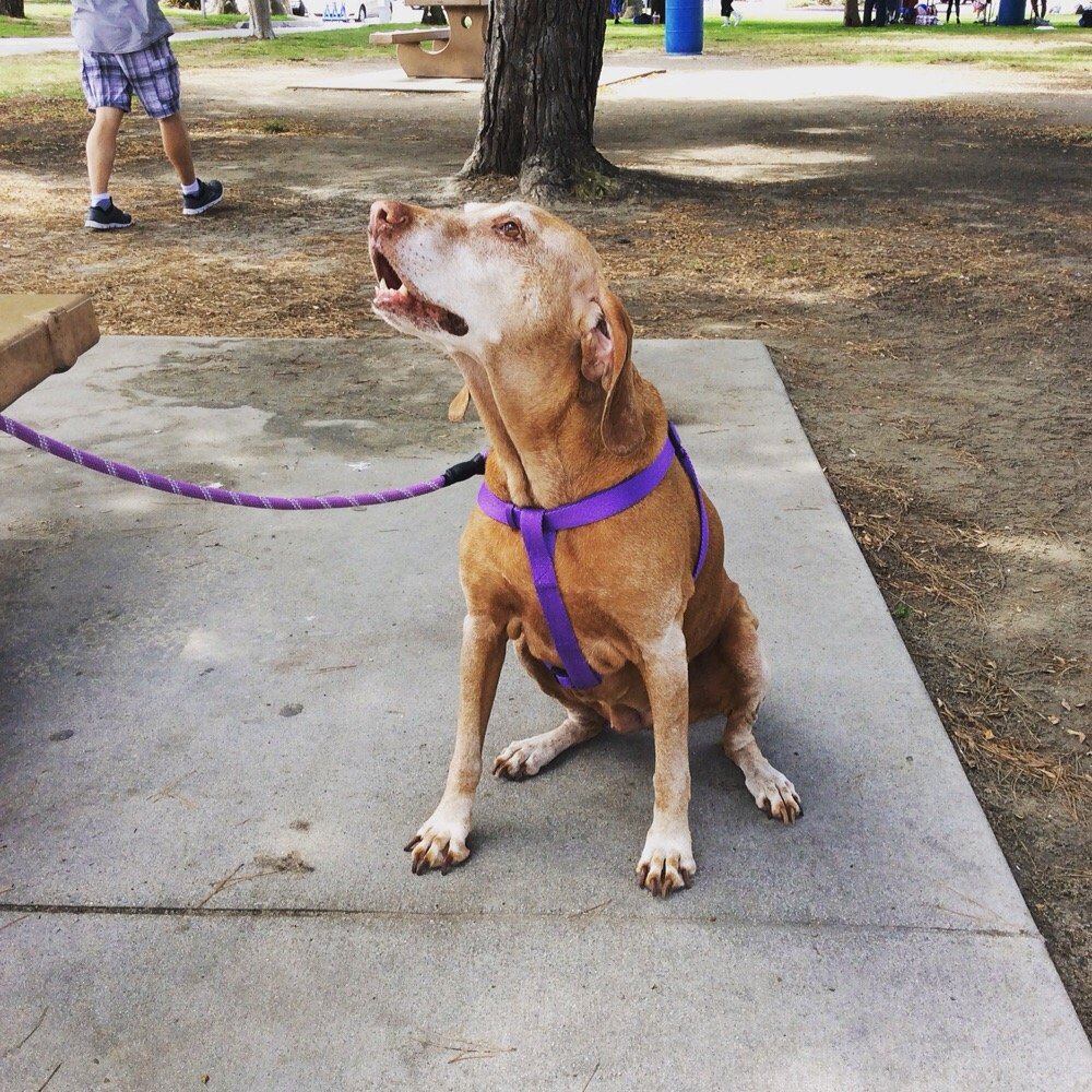 Ambitions House - social services organization in Long Beach, CA