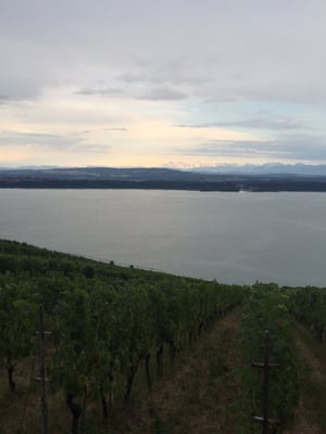 Aux Trois Amis by null