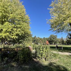 Mattocks Park - Charles Schultz's park