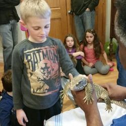Dorsey's Fangs Frogs and More
