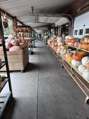 Jaemor Farms by null