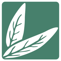 Majestic Mountain Sage