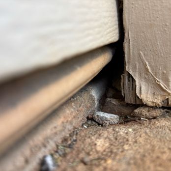 The Wildlife Pros - Mice inspection - Wildlife Control Near Me The Wildlife Pros - Mice inspection - Wildlife Control Near Me