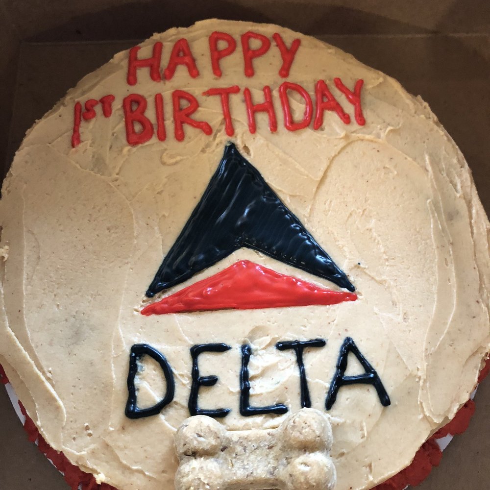My puppy's amazing 1st bday cake! My puppy's amazing 1st bday cake!