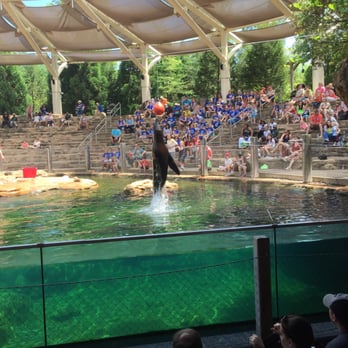 Memphis Zoo - Sea lion show was great! - Zoos Near Me - Memphis, Tennessee Memphis Zoo - Sea lion show was great! - Zoos Near Me - Memphis, Tennessee