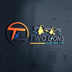 Two Lions Electric